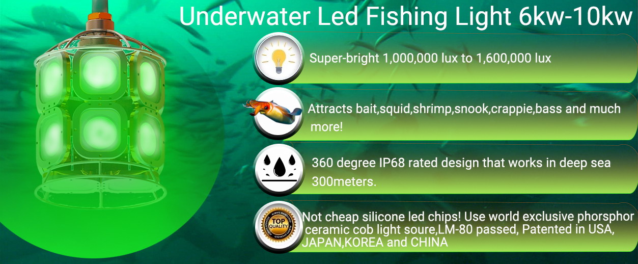 Squid Fishing Light 500W Submersible Light Fishing Lamp for